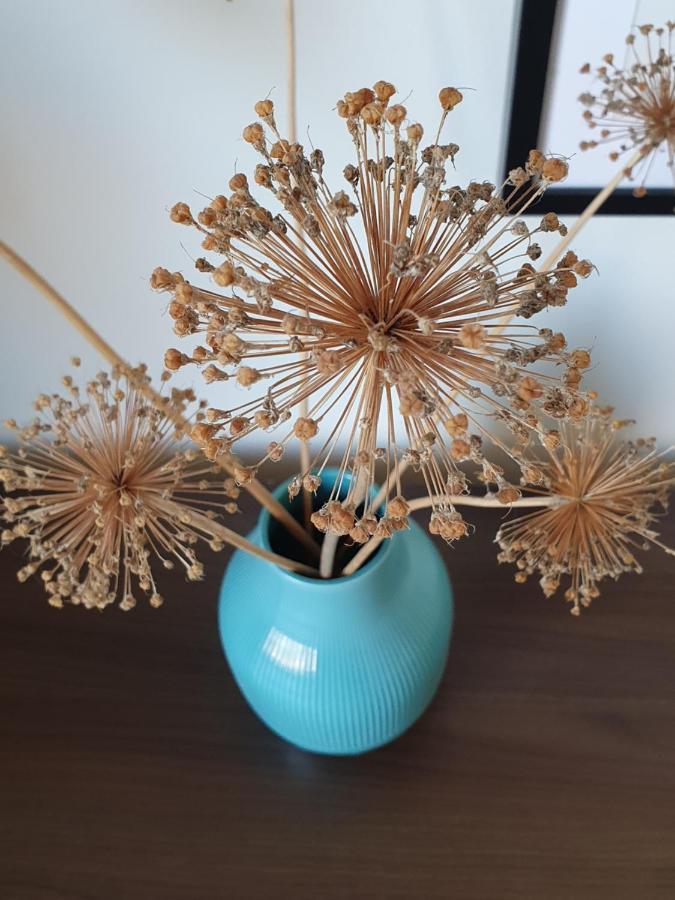 Ferienapartment Voegelsen Vogelsen 外观 照片